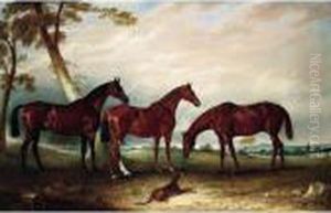 Marvel, Kingfisher And The Lad,
Three Hunters Belonging To William Angerstein, In A Field With His Dog
Spring Marvel, Kingfisher And The Lad,
Three Hunters Belonging To William Angerstein, In A Field With His Dog
Spring