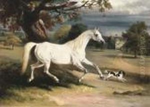 Mr. Dawson's Phoebus by John Snr Ferneley