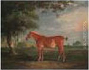 A Chestnut Cob In A Landscape, With Melton Mowbray Church Beyond by John Snr Ferneley
