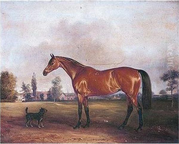 Epsom, A Favourite Hunter
Belonging To Lady Eleanor Cecily Clifton Of Lytham Hall, Lancashire - view 1