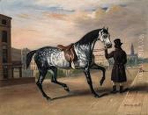 A Dappled Grey Horse Held By A Gentleman On The Maryleboneroad - view 1