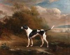 A Pointer In A Landscape A Pointer In A Landscape