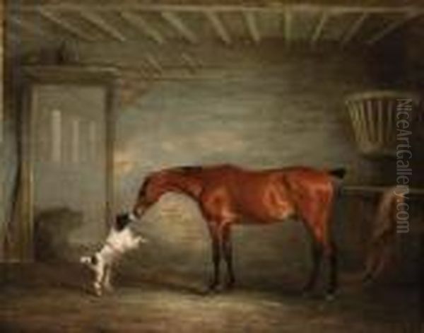 A Bay Hunter With A Poodle In A Stable - view 1