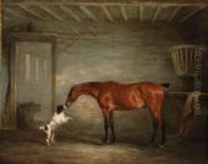 A Bay Hunter With A Poodle In A Stable by John Snr Ferneley