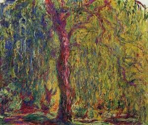 Weeping Willow V
