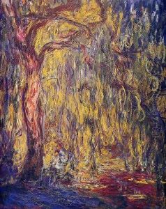 Weeping willow