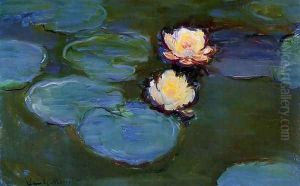 Water-Lilies