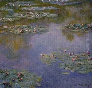 Water Lilies16