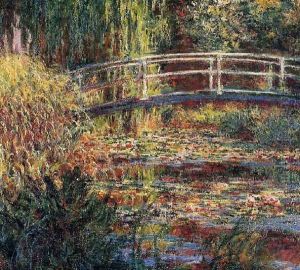 Water Lily Pond Symphony In Rose