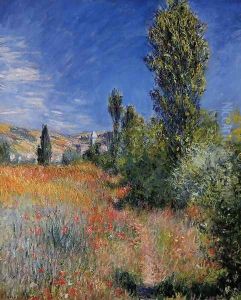 Landscape On The Ile Saint Martin