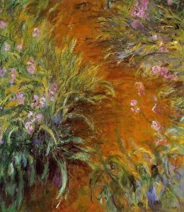 The Path Through The Irises