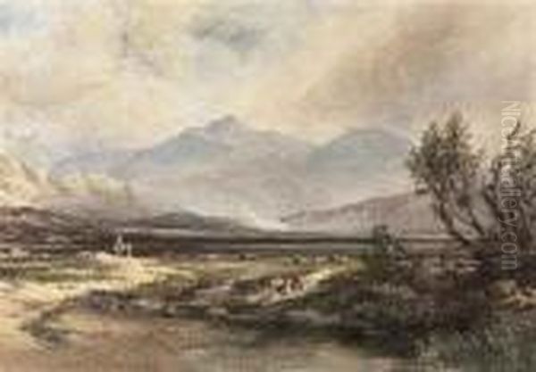 In The Highlands, Scotland - view 1