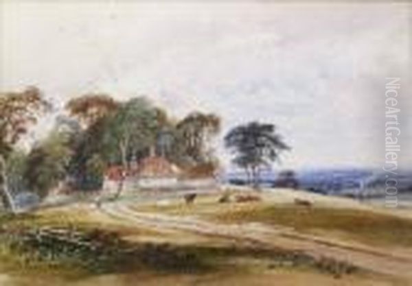Near Cuckfield, Sussex - view 1