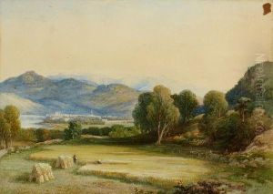 Panoramic Landscape Panoramic Landscape
