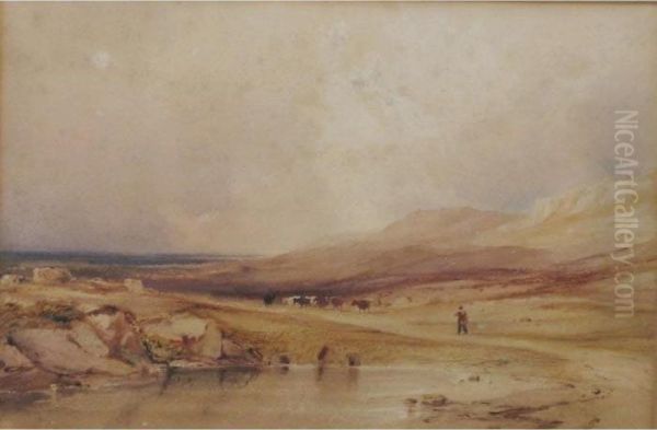 Near Dolgelly - view 1