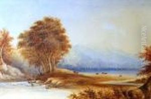 Lakeland Landscape