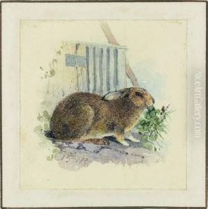 Un Lapin