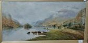 Landscape Landscape