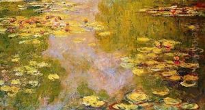 The Water Lily Pond 6