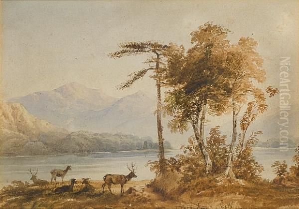 Loch Earn, Perth - view 1