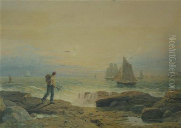Rocky Beach With Fisherman,various Sailing Vessels In The Water - view 1