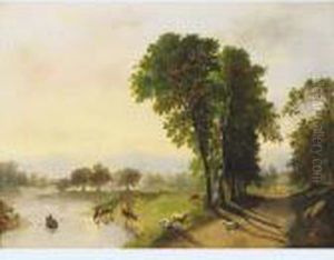 Pastoral With Sheep And Cattle Watering
