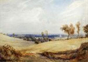 The Sussex Downs