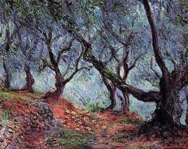 Grove Of Olive Trees In Bordighera - view 1
