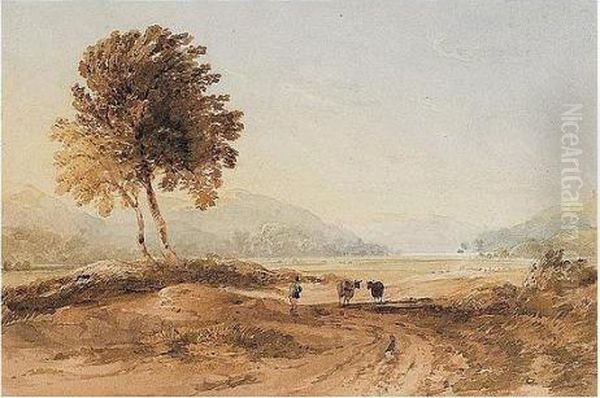 Landscape - view 1