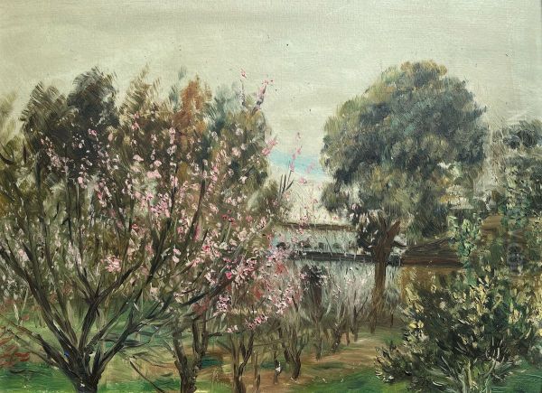 Paisaje - view 1
