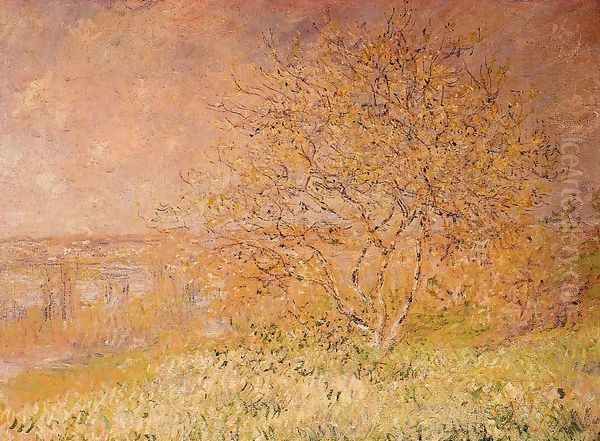 Spring - view 1