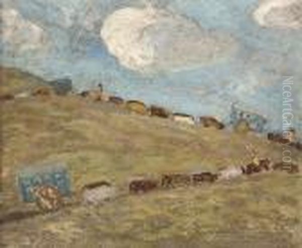 El Camino De La Sierra - view 1