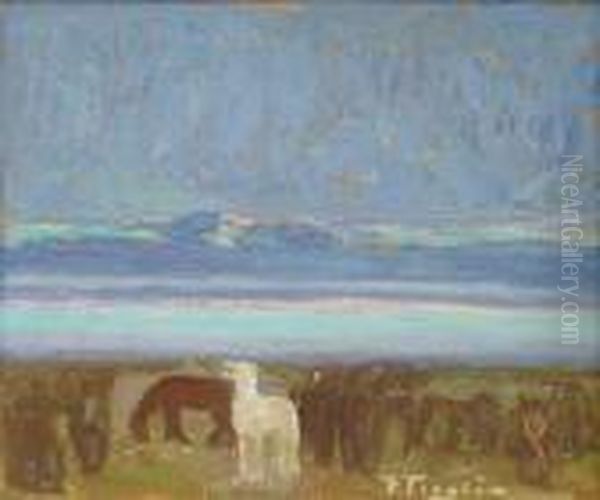 La Caballada - view 1