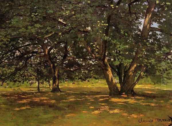 Fontainebleau Forest - view 1