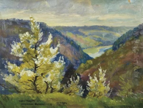 River Valley Landscape - view 1