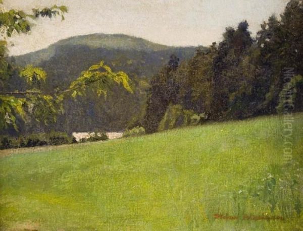 Pejzaz Gorski - view 1