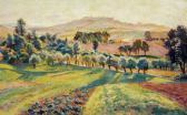 Widok Na Jurczyce - view 1