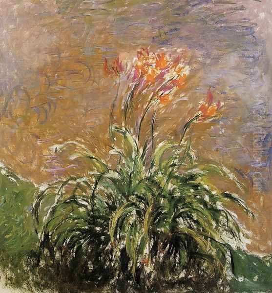 Hamerocallis - view 1