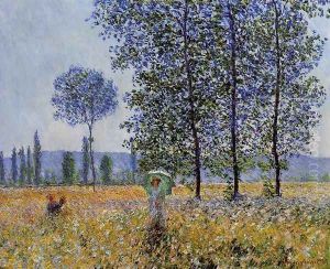 Sunlight Effect Under The Poplars