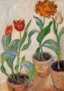 Three Pots Of Tulips