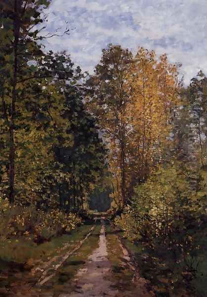 Path In The Forest - view 1
