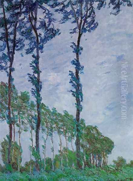 Poplars Wind Effect - view 1