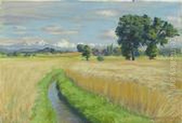 Harvest Time Near Wittigkofen - view 1