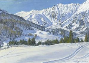 Sonnige Winterlandschaft Bei Adelboden