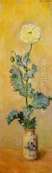White Poppy - view 1
