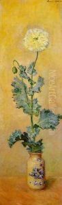 White Poppy