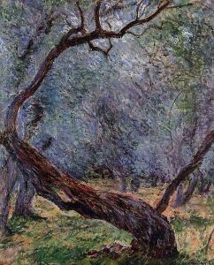 Study Of Olive Trees