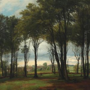 On The Fringes Of Aforest