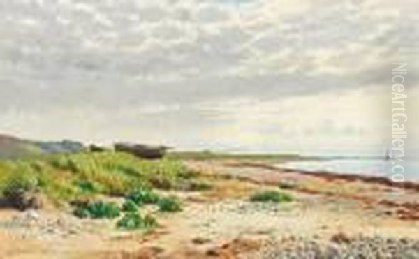 Coast At Tidsvilde In The Summer Of 1885 - view 1