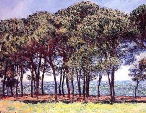 Pine Trees Cap DAntibes thumbnail